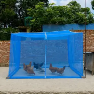 Premium Poultry Net